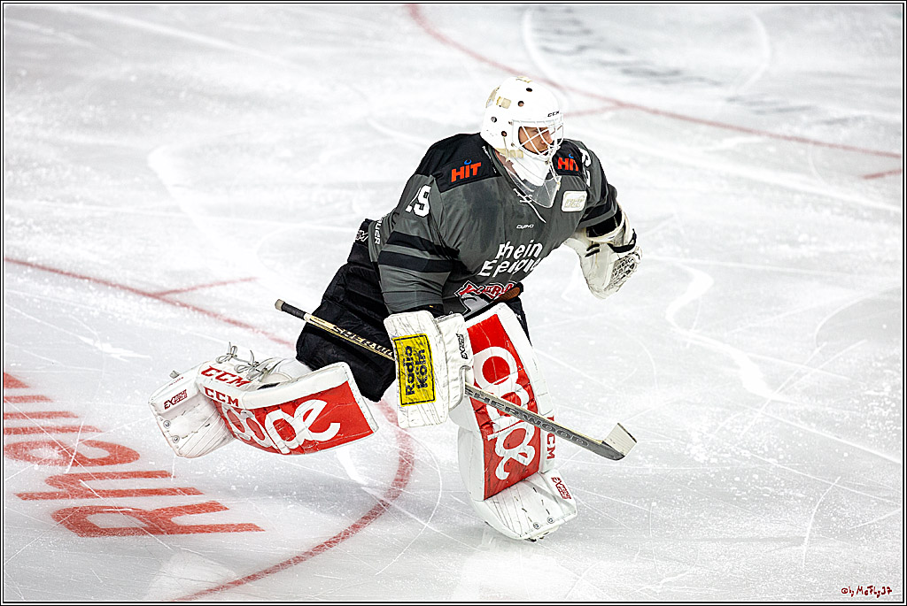 DEL; Koelner Haie - Straubing Tigers, 28.09.2018